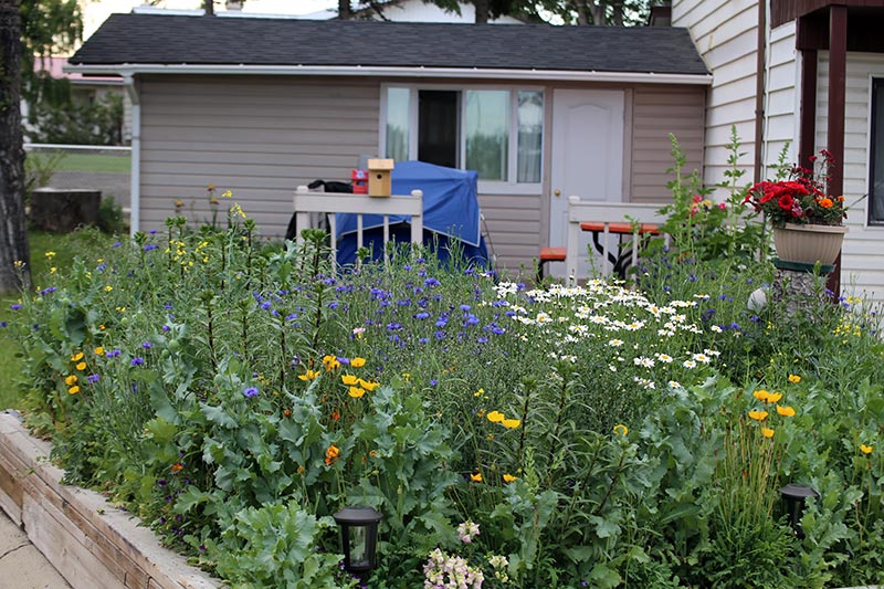 Golden West Flower Garden